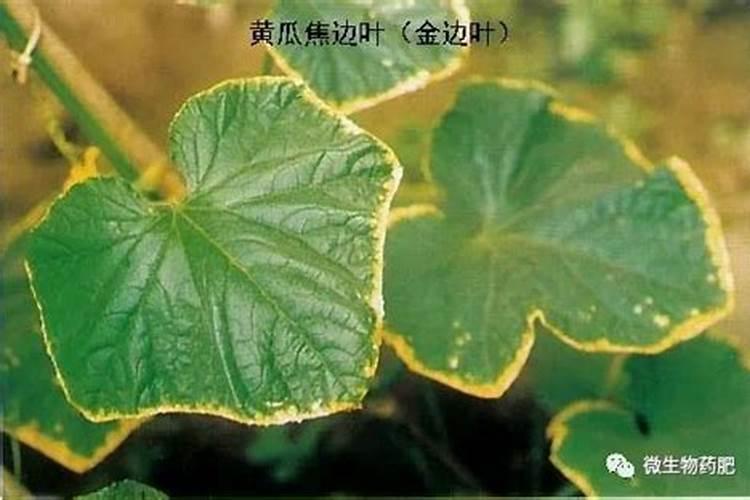 ...最近我国著名化学家徐辉碧教授,根据众多实验事实,提出硒(元素...