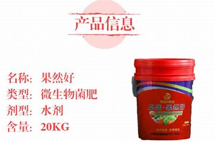南瓜子怎样种植 南瓜子怎么种