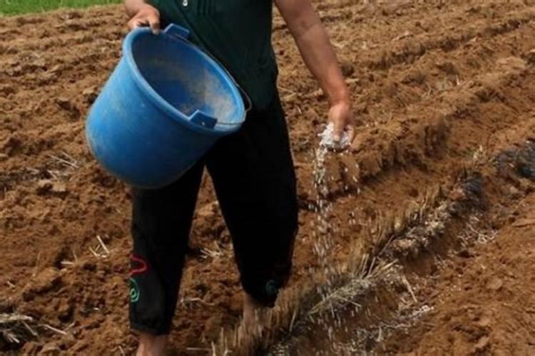 氮、磷、钾52含量掺混肥怎么配比？