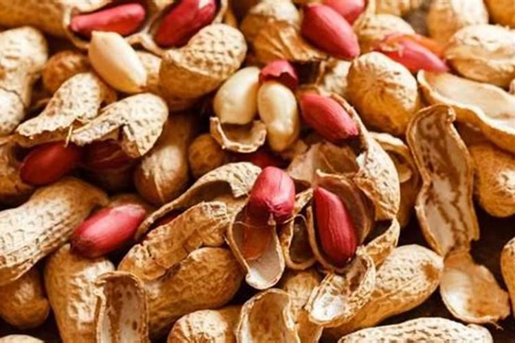 君子兰上什么肥料最好