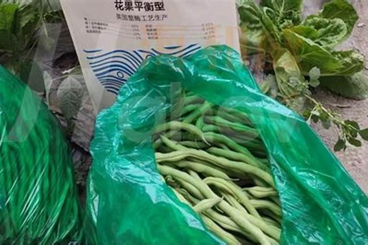 我家的桃树用肥料过多导致烧根树叶掉落.请问有什么办法补救!