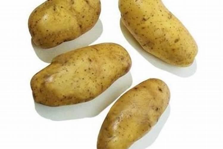 种植芋头需要用什么肥料最好