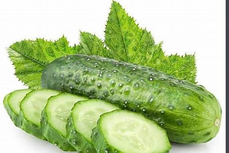 鱼蛋白原浆与鱼蛋白原粉用作植物肥料哪个更好？