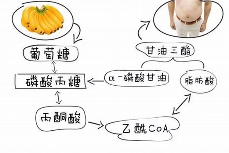 白糖可以做肥料吗
