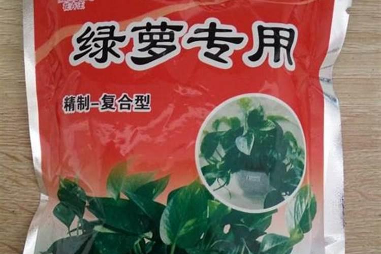 绿萝怎么养才能更旺盛用什么肥料