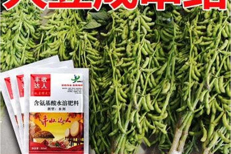黄豆开花期能喷叶面肥么