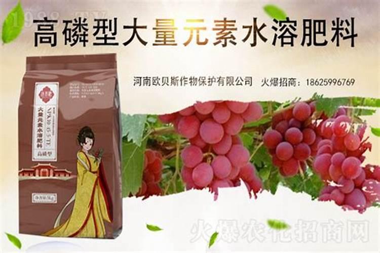 磷酸二氢钾可以灌根吗