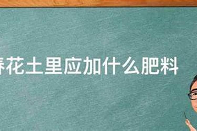 施什么肥让大姜粗壮