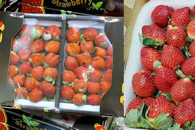 硝态氮肥冲草莓可以吗？