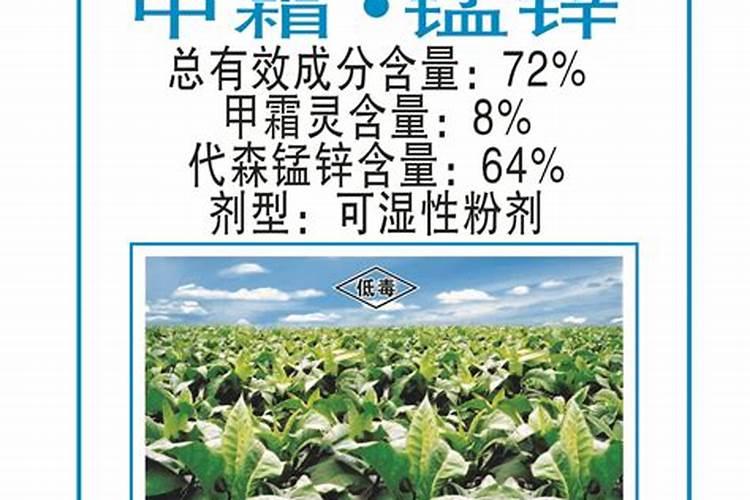 种植莴苣,极易发生霜霉病,针对这种病有哪些防治措施？