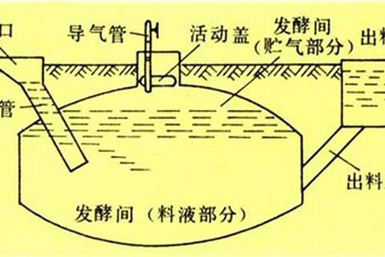 使用有机和非有机肥料有何不同