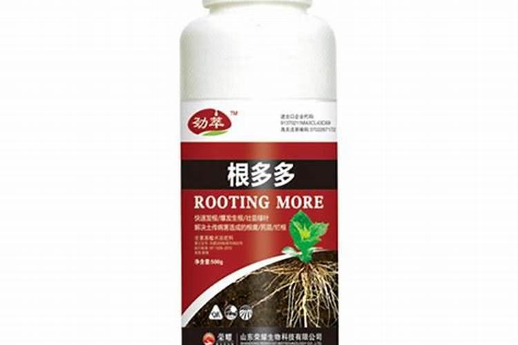 黄瓜定植后浇什么肥料