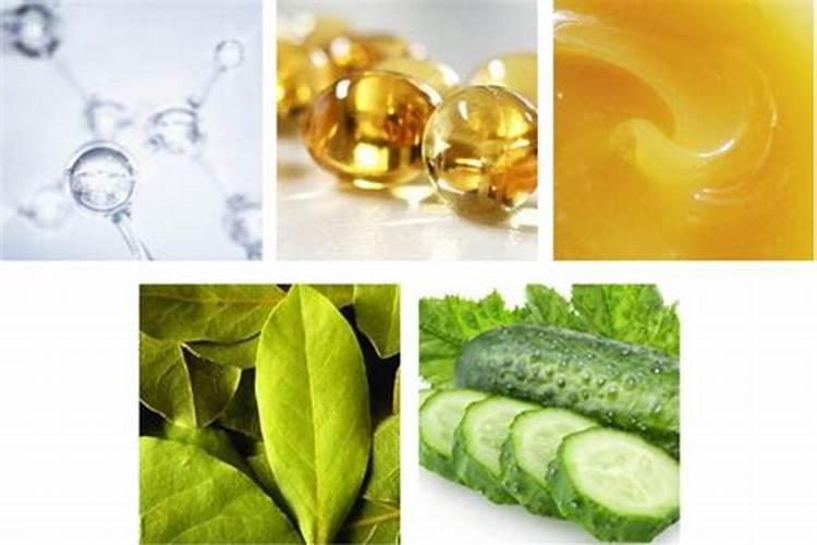 野菜有多少种类？