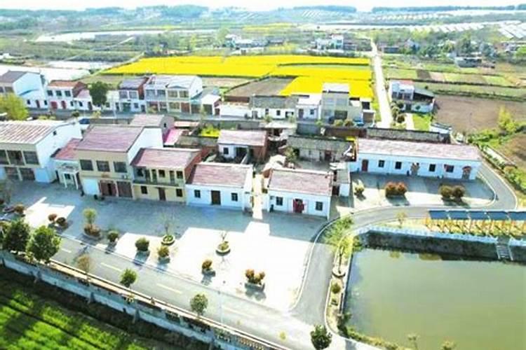硅肥是第四大元素肥吗