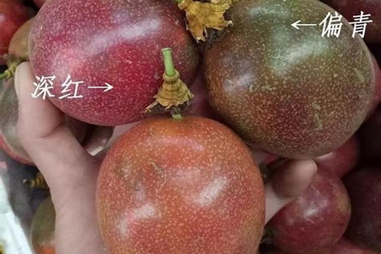 怎样才能使百香果开花结果