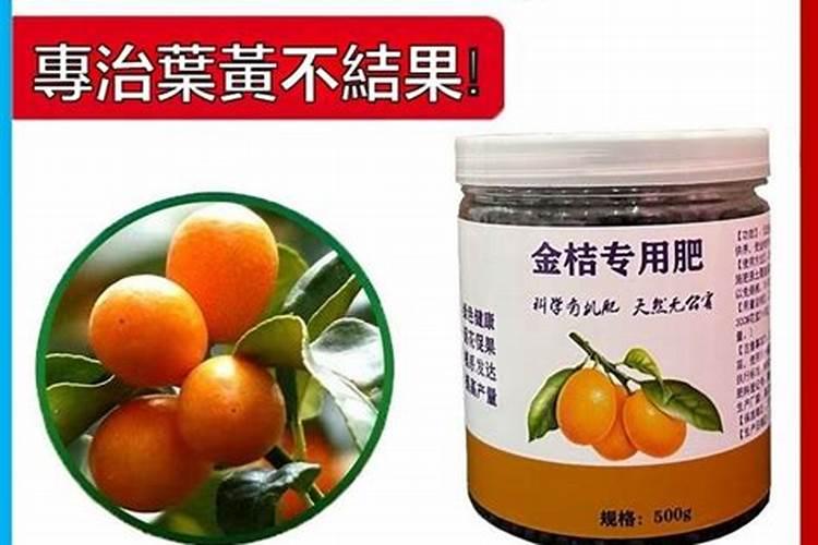 西红柿发芽了还能吃吗