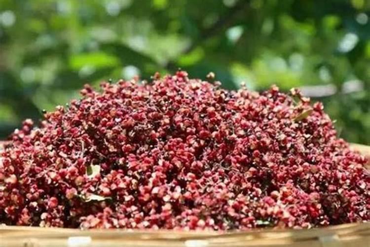 花椒花期用什么叶面肥？
