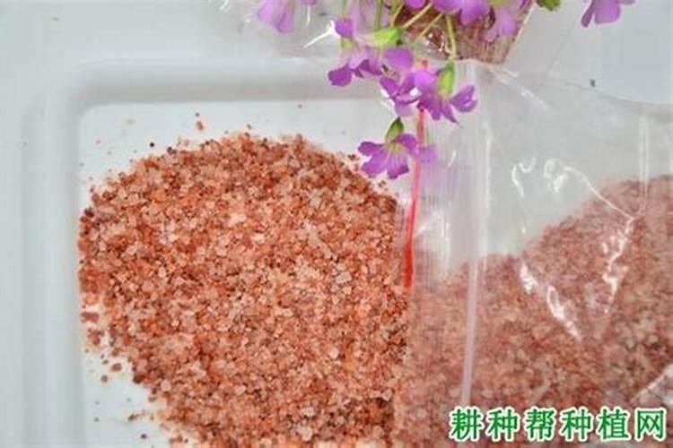 对甜菜如何施用钾肥？