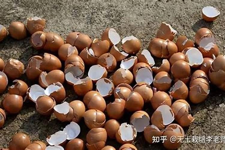 蛋壳做磷肥好吗怎么做？
