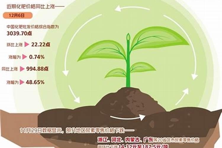化肥价格淡季上涨涨了多少？