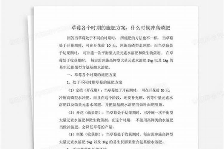 草莓各个时期的施肥方案,什么时候冲高磷肥