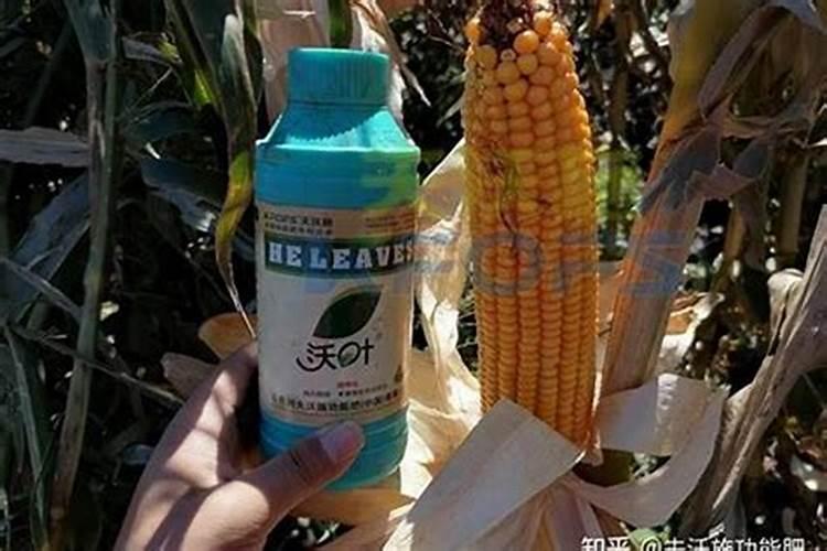 叶面肥与菌药混合注意哪些事项？
