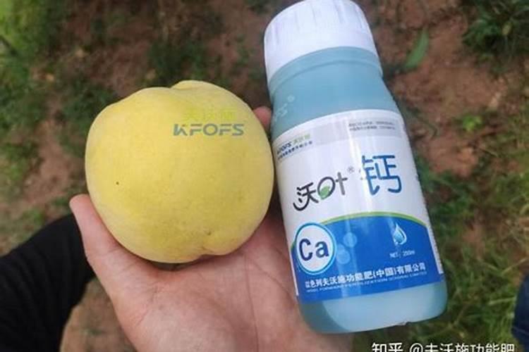 水溶肥稀释时间多久才能用啊？