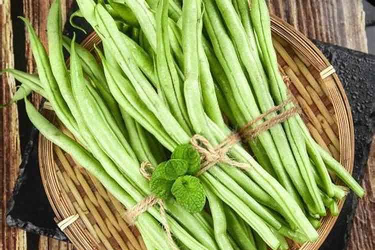 茶树需要施用硼肥吗为什么？