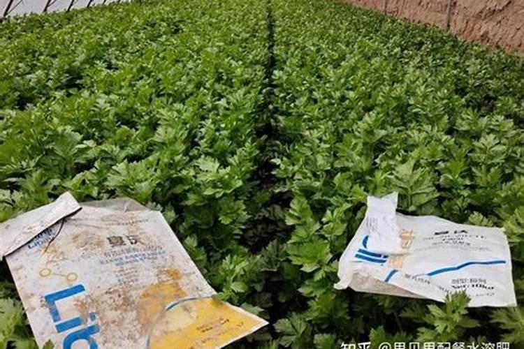 芹菜施肥要科学,芹菜怎么科学施肥？