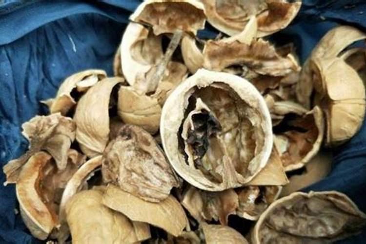 核桃仁可以做肥料吗