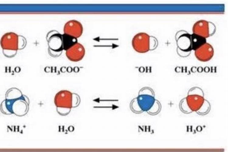 铵根与铵离子和氨分子有什么区别？