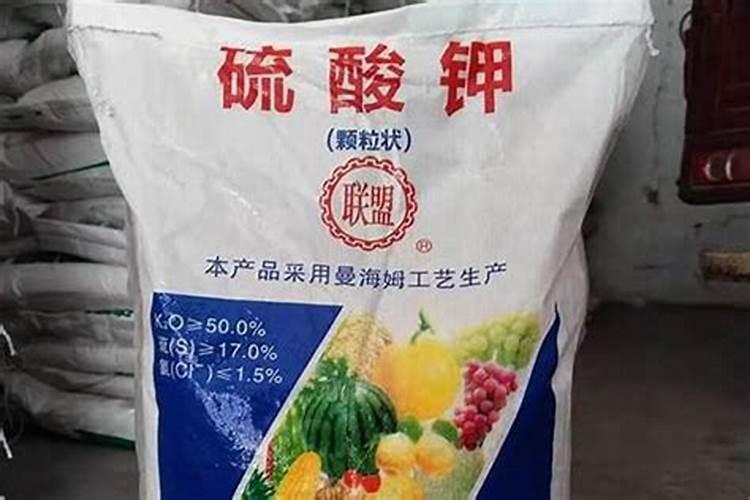 月季钾肥过多会怎样处理呢？