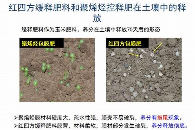 控释肥生产厂家哪个好？