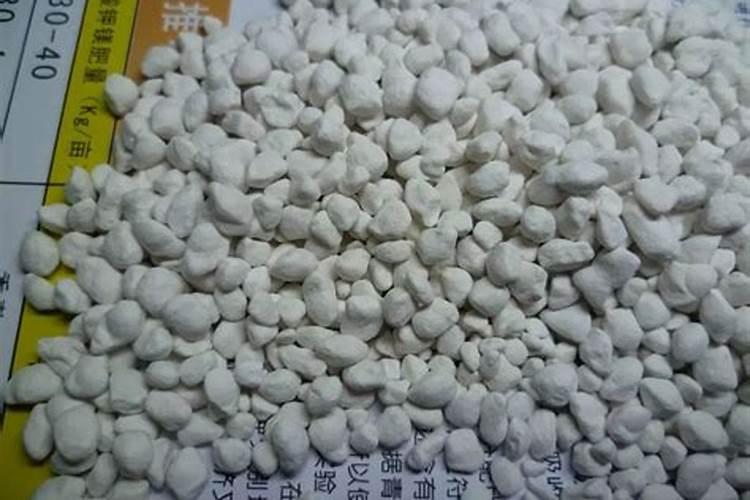 青椒是否含钾肥呢怎么判断出来？