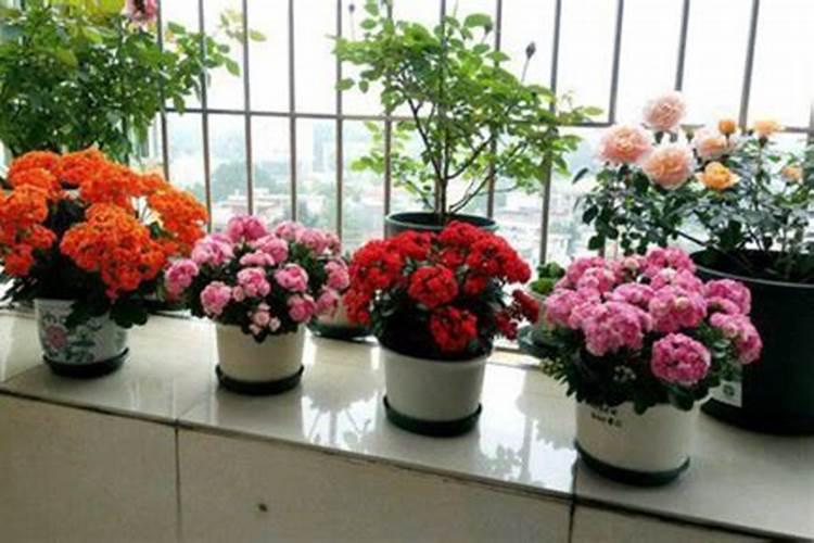 开花时上什么肥料比较好？