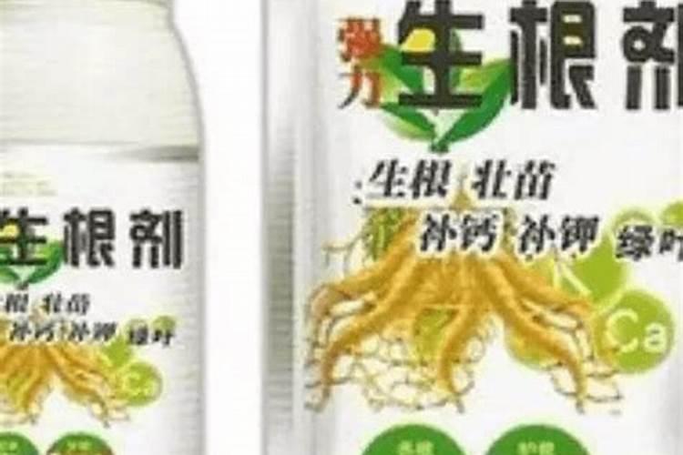 生根剂的使用方法