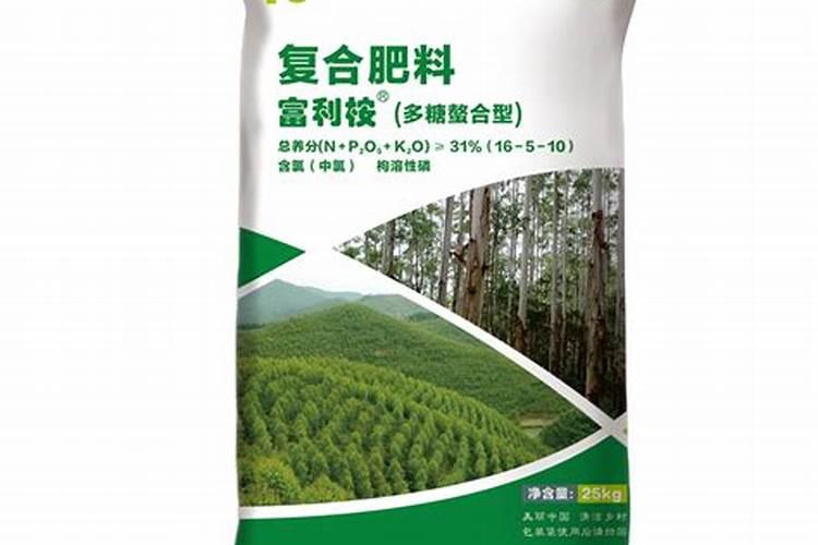 桉树用什么肥料最合适