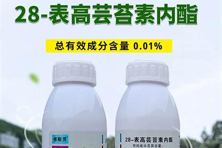 芸苔素恶霉灵能用吗怎么用？