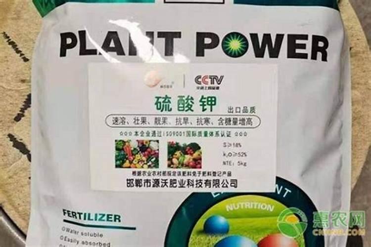 施用钾肥对玉米的影响大吗为什么？