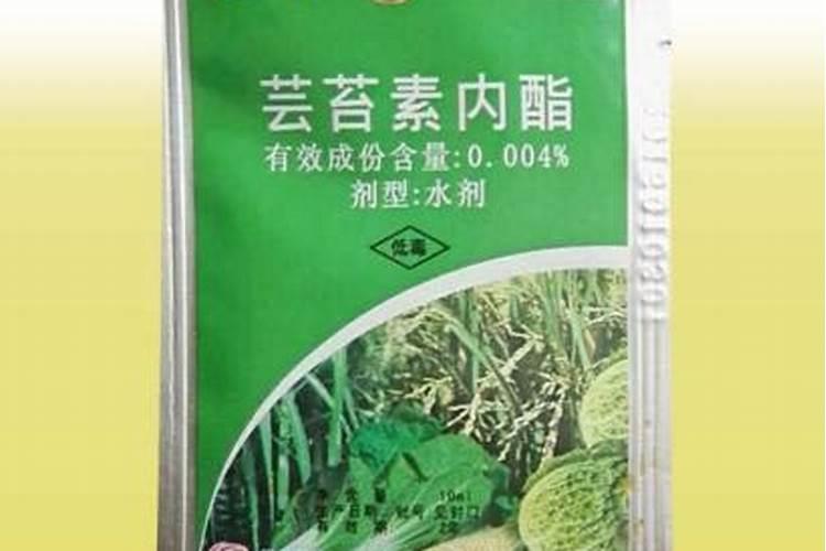 芸苔素内酯在水稻苗床上怎么应用？
