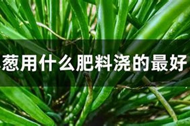 小葱浇什么肥料比较好？