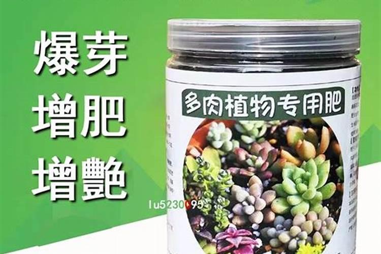 多肉上色肥料怎么用