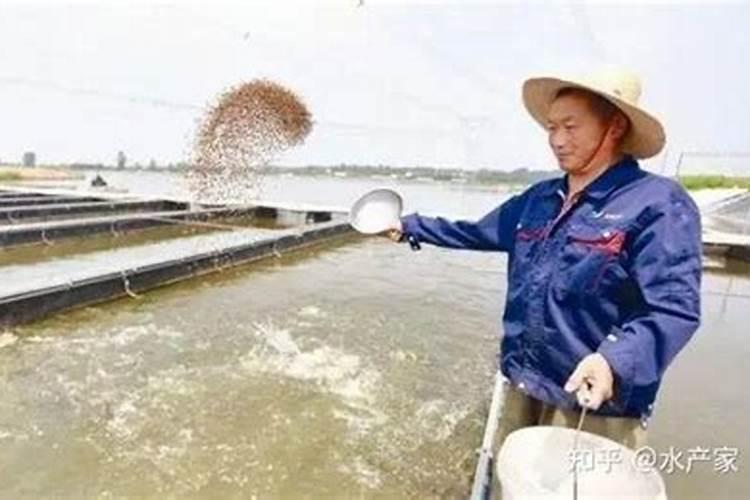 氨氮高的鱼塘能用复合肥吗？