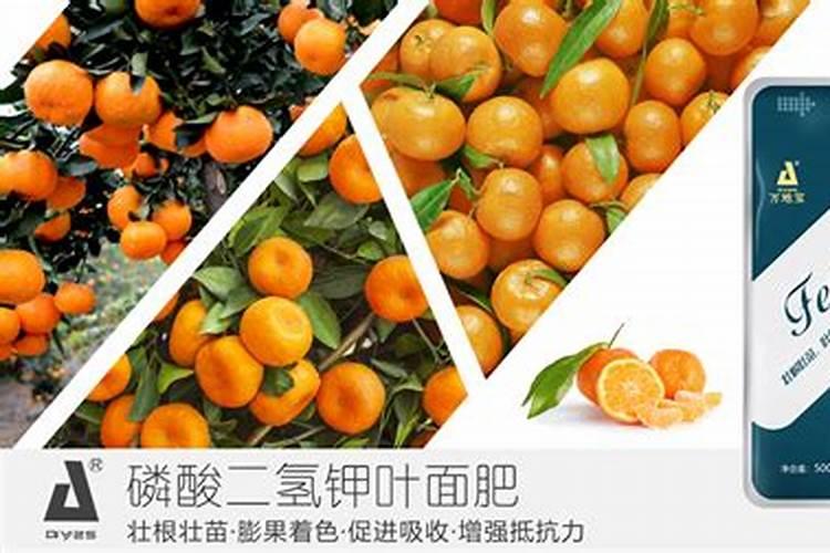柑橘什么时候用锌肥合适？