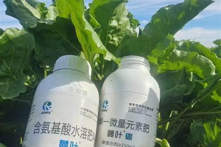 硼肥在帮助农作物增产上起到了什么作用？