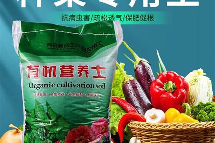 营养土可以直接种菜吗营养土适合种什么蔬菜营养土能种蔬菜吗百度知...
