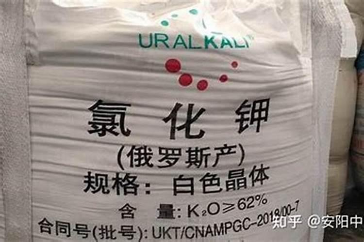 钾肥对果实到底有什么作用呢？