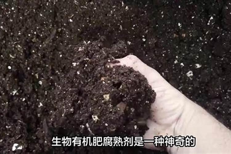 发酵鸡粪制作水溶肥