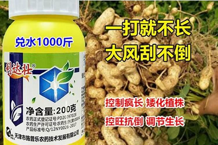 使君子花施矮壮素太浓了怎么补救？