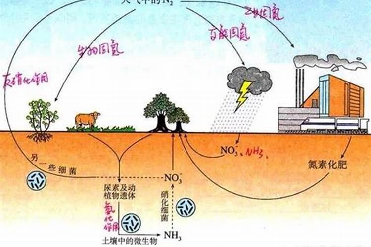 氮肥受热分解有哪些变化过程？
